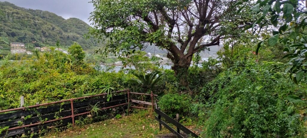 千葉県鴨川の海の見えるペンション アル・モールから見る海、海と自然を感じる鴨川の風景